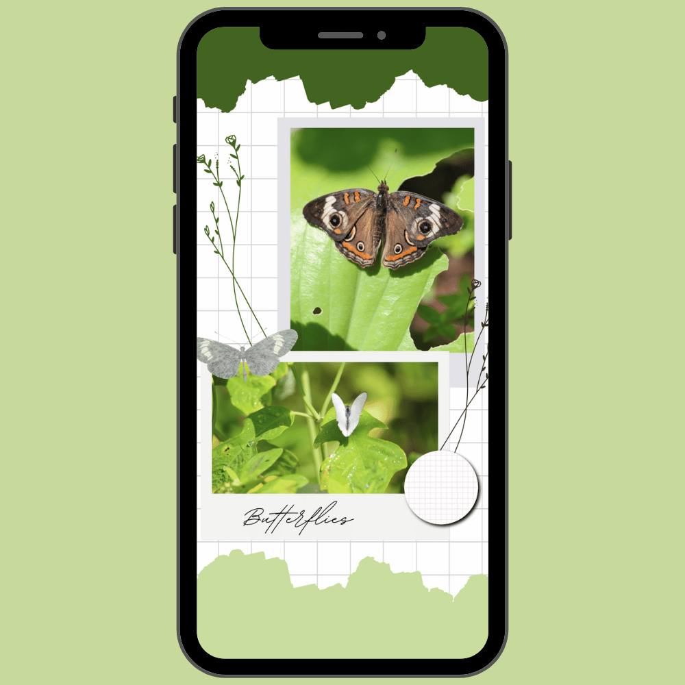 Butterfly Dreams | Cellphone Wallpapers — Digital Download