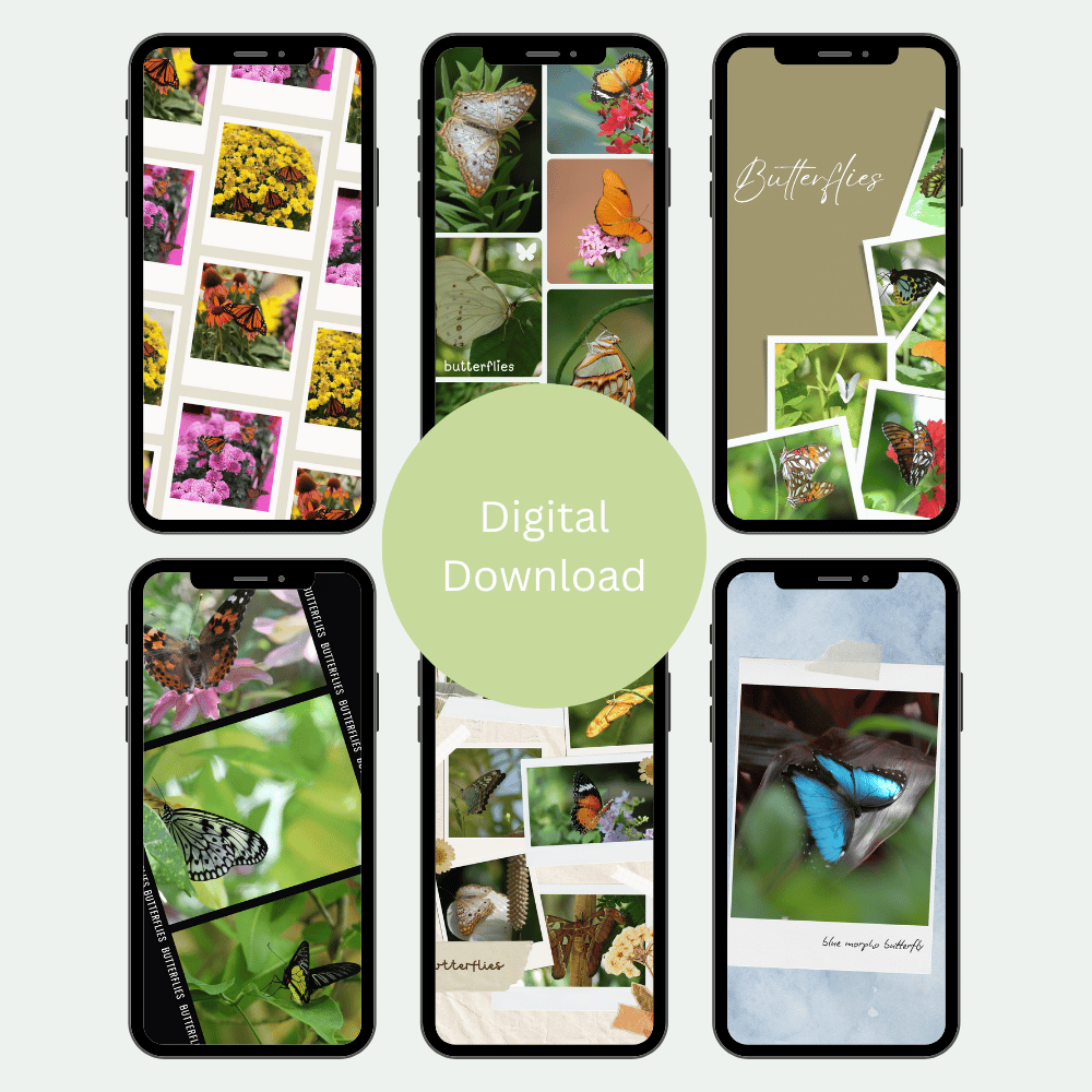 Butterfly Dreams | Cellphone Wallpapers — Digital Download