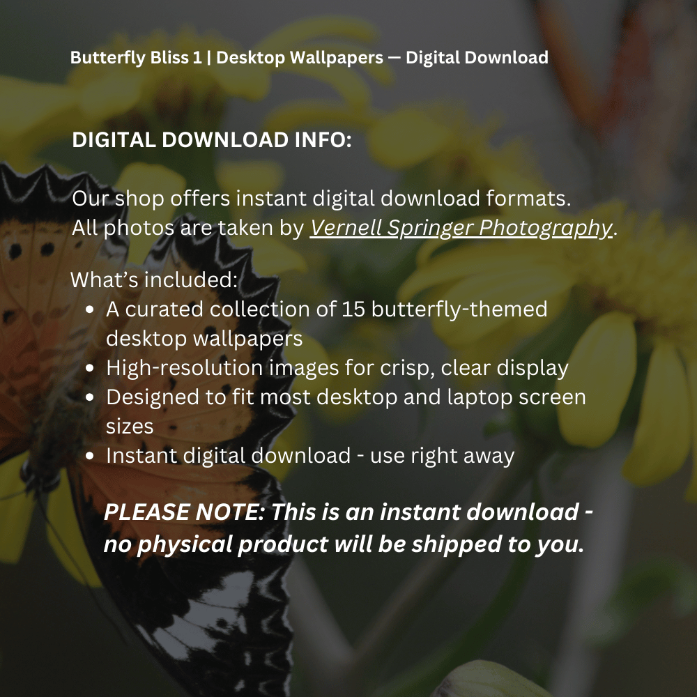Butterfly Bliss 1 | Desktop Wallpaper Collection — Digital Download