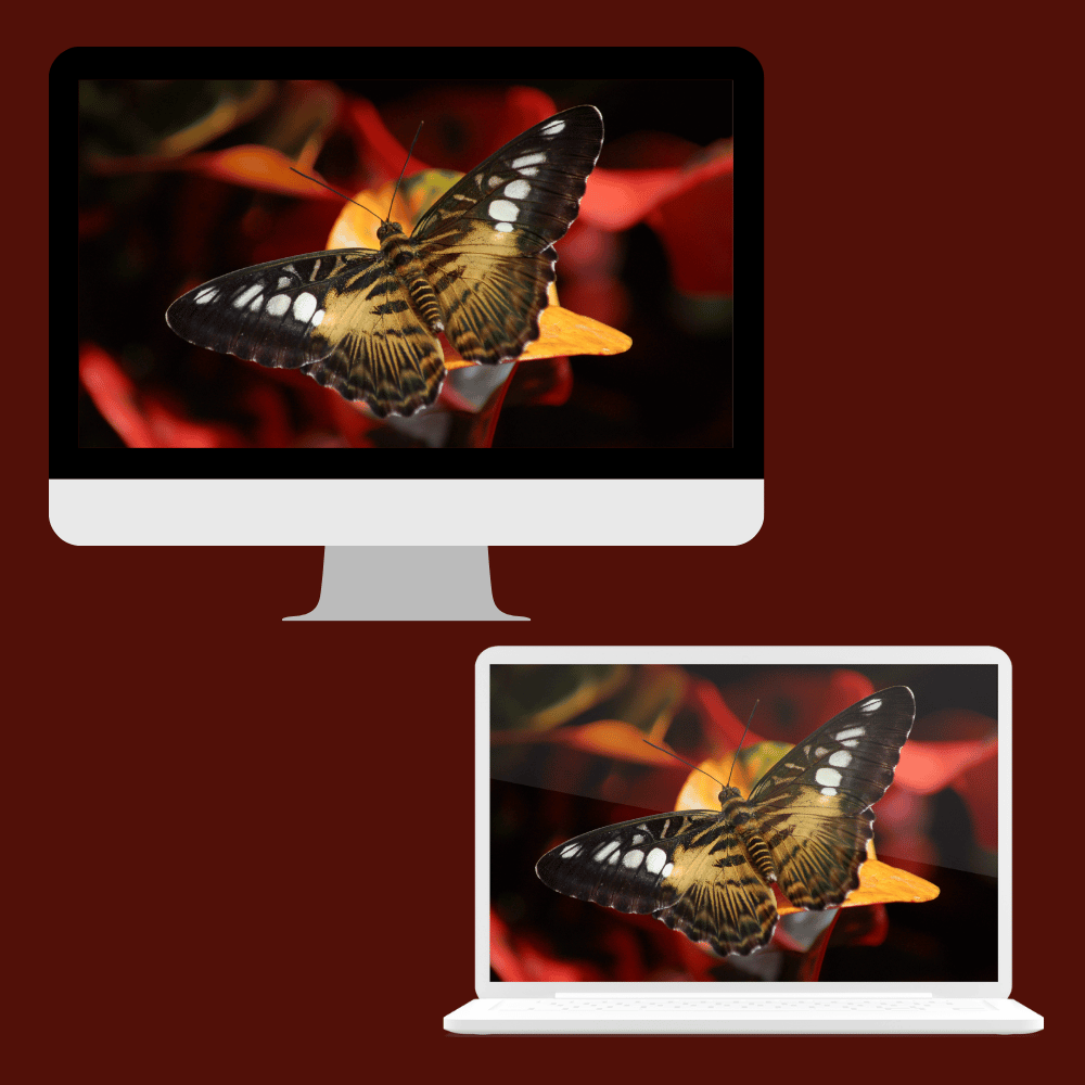 Butterfly Bliss 2 | Desktop Wallpaper Collection — Digital Download