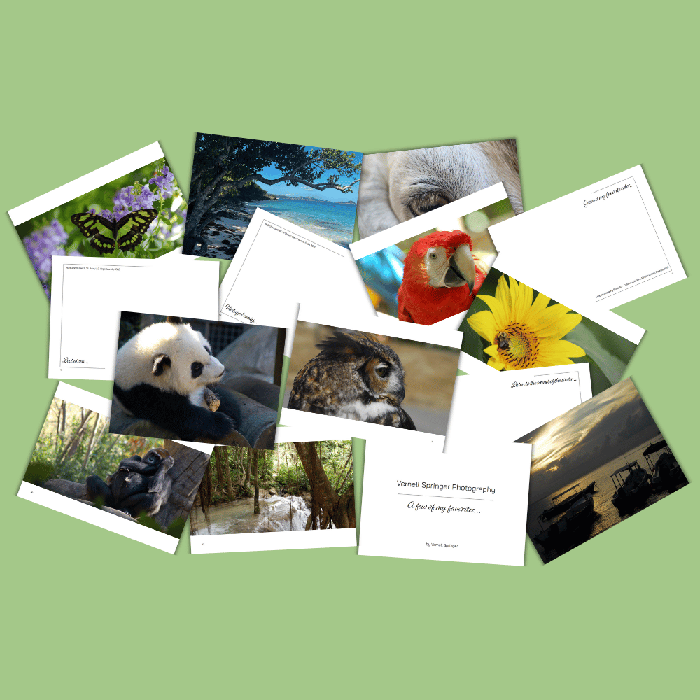 Vernell Springer Photography | A few of my favorites…