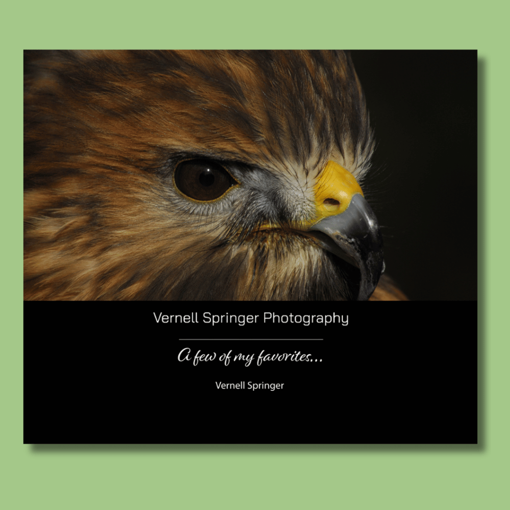 Vernell Springer Photography | A few of my favorites…
