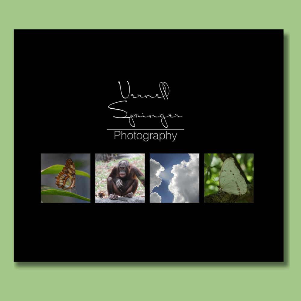 Vernell Springer Photography | A few of my favorites…