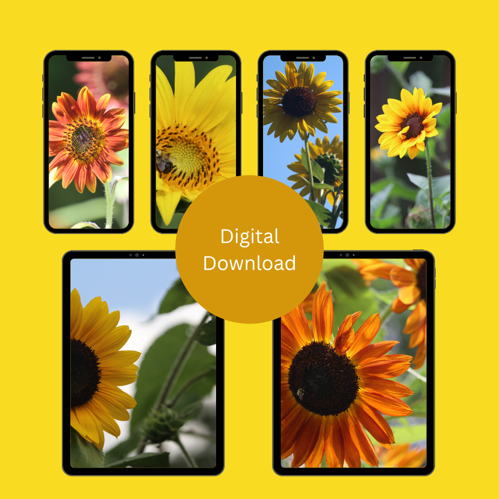 Sunflower Power | Cellphone & Tablet Wallpapers — Digital Download