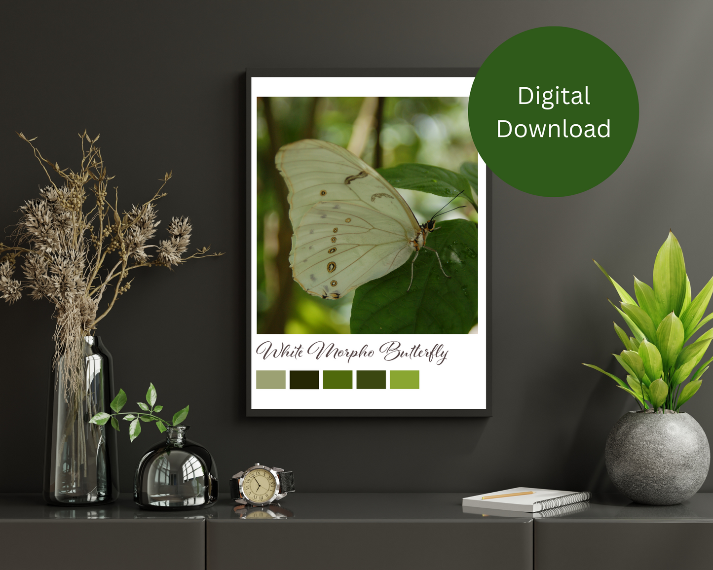 White Morpho Butterfly Printable Wall Art – Digital Download