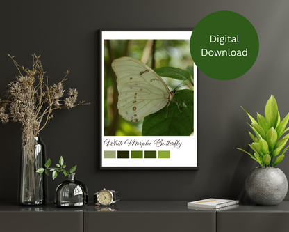 White Morpho Butterfly Printable Wall Art – Digital Download