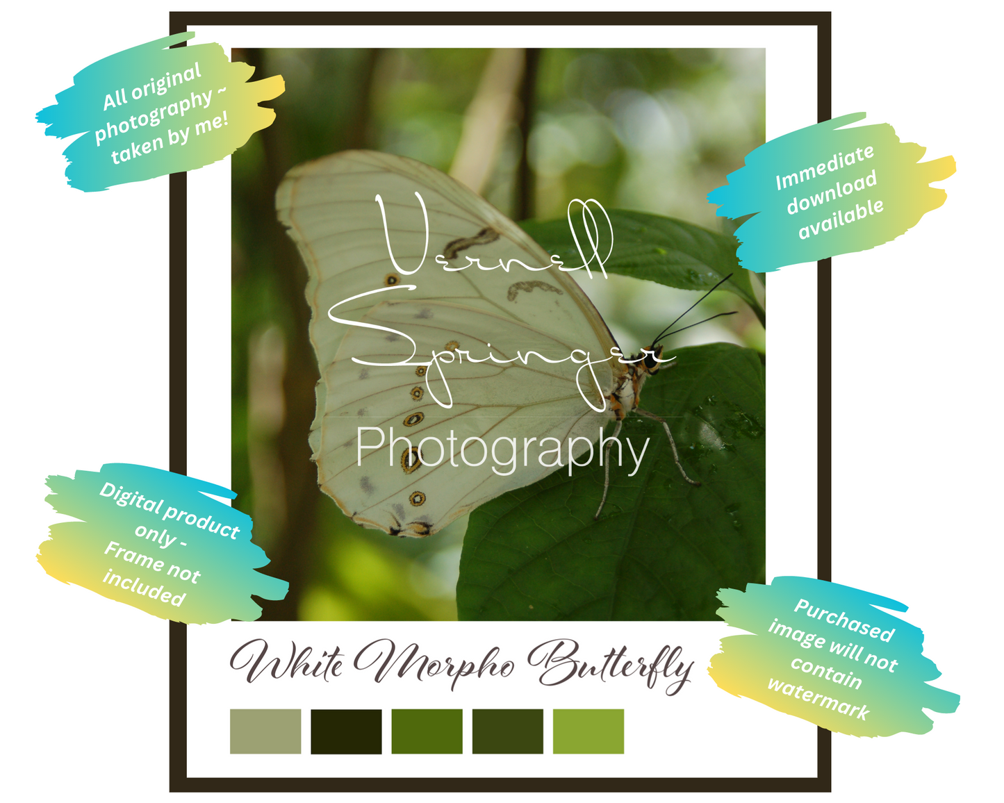 White Morpho Butterfly Printable Wall Art – Digital Download