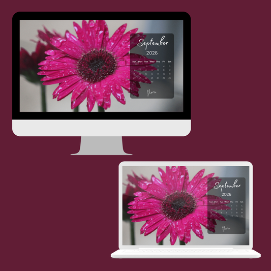 Petal Planner | 2-Year Monthly Calendar Desktop Wallpaper Collection — Digital Download