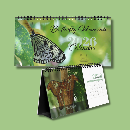 Butterfly Moments 2026 Desktop Calendar
