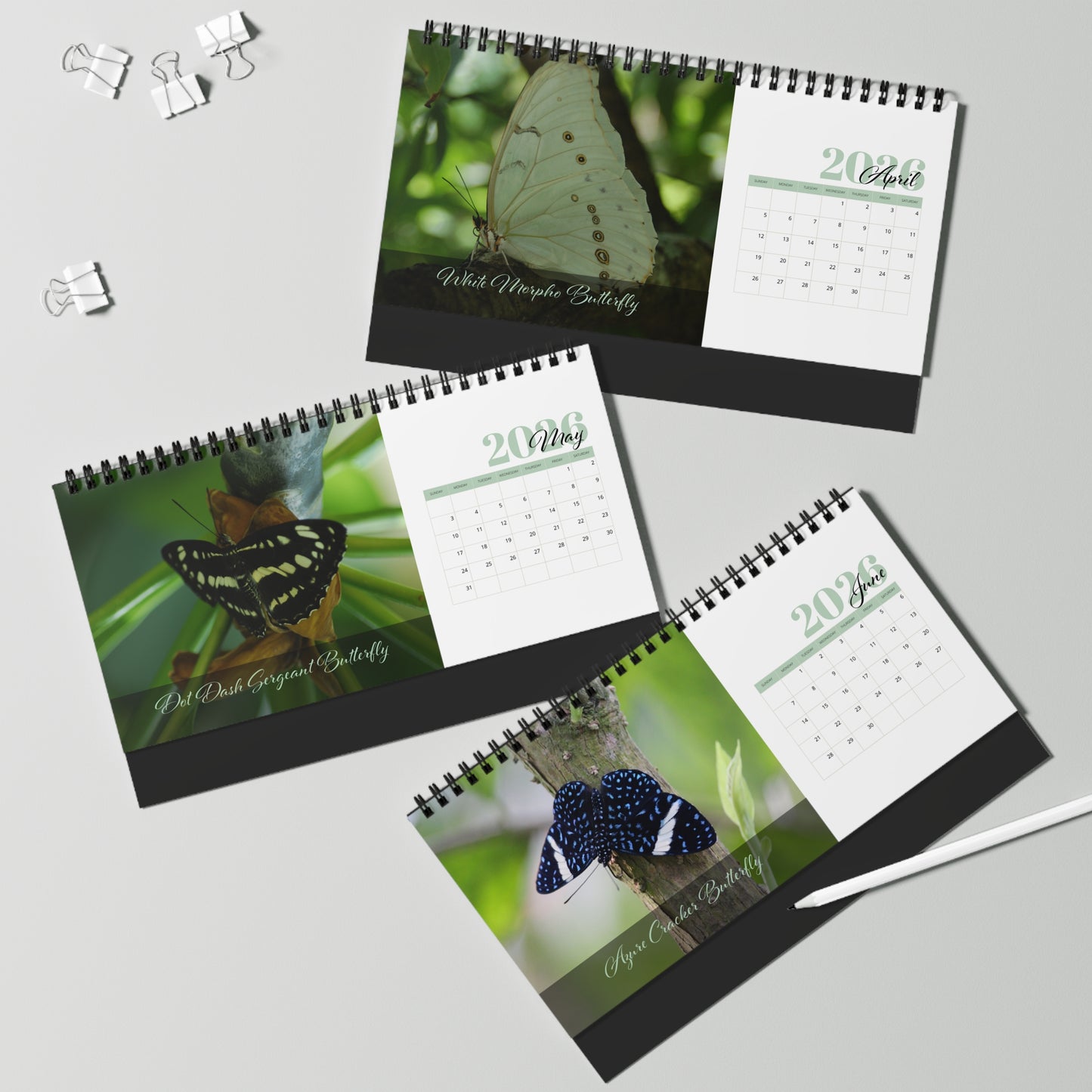 Butterfly Moments 2026 Desktop Calendar