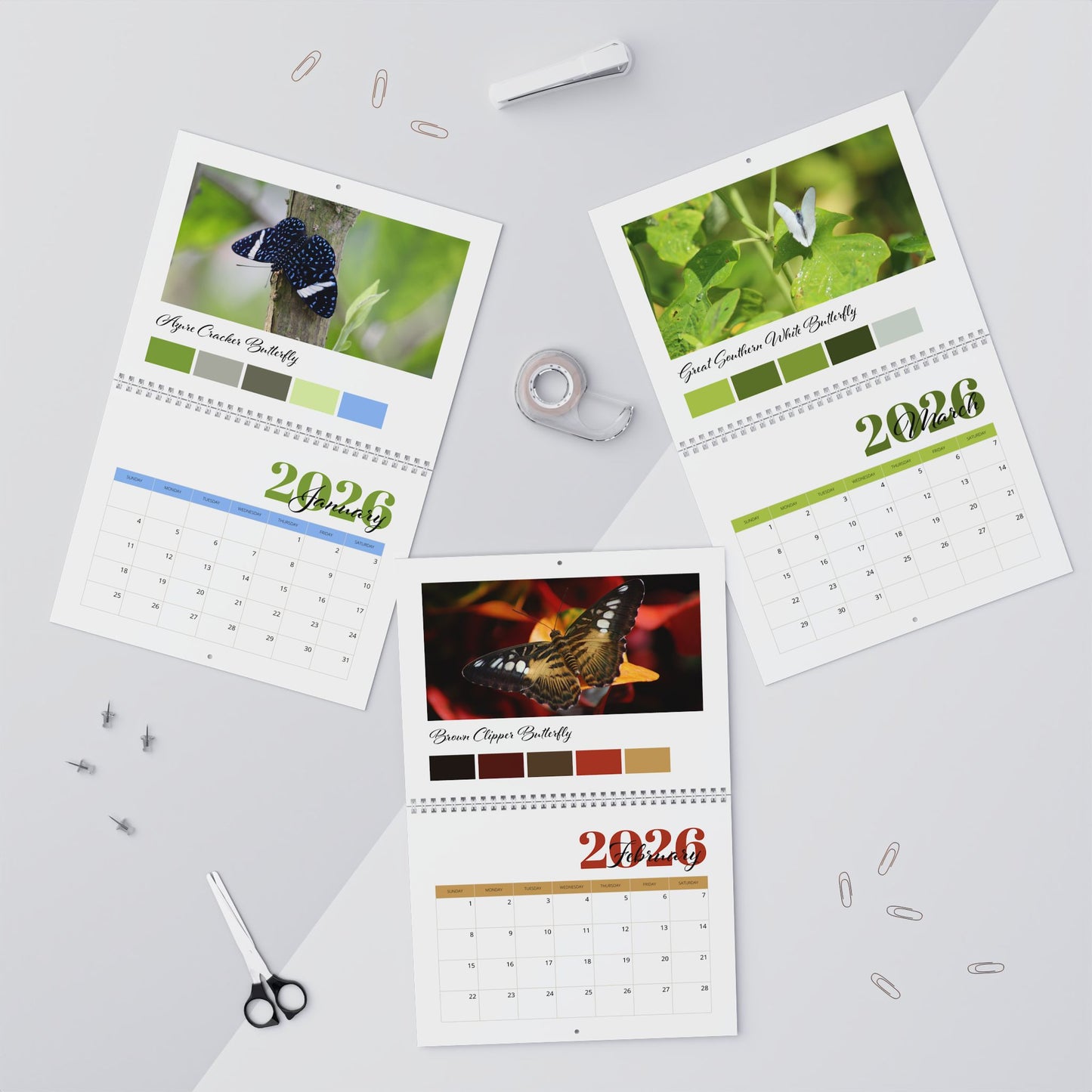 Butterfly Bliss 2026 Wall Calendar