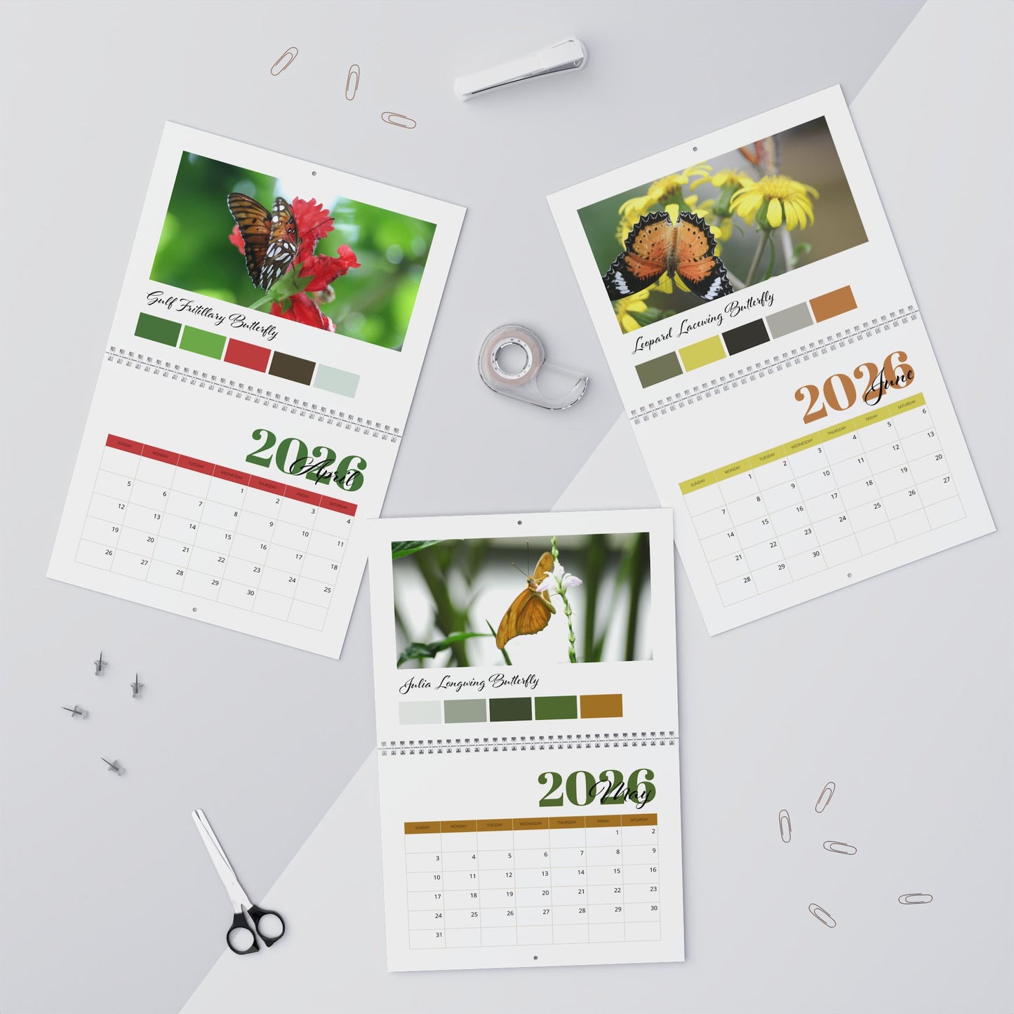 Butterfly Bliss 2026 Wall Calendar