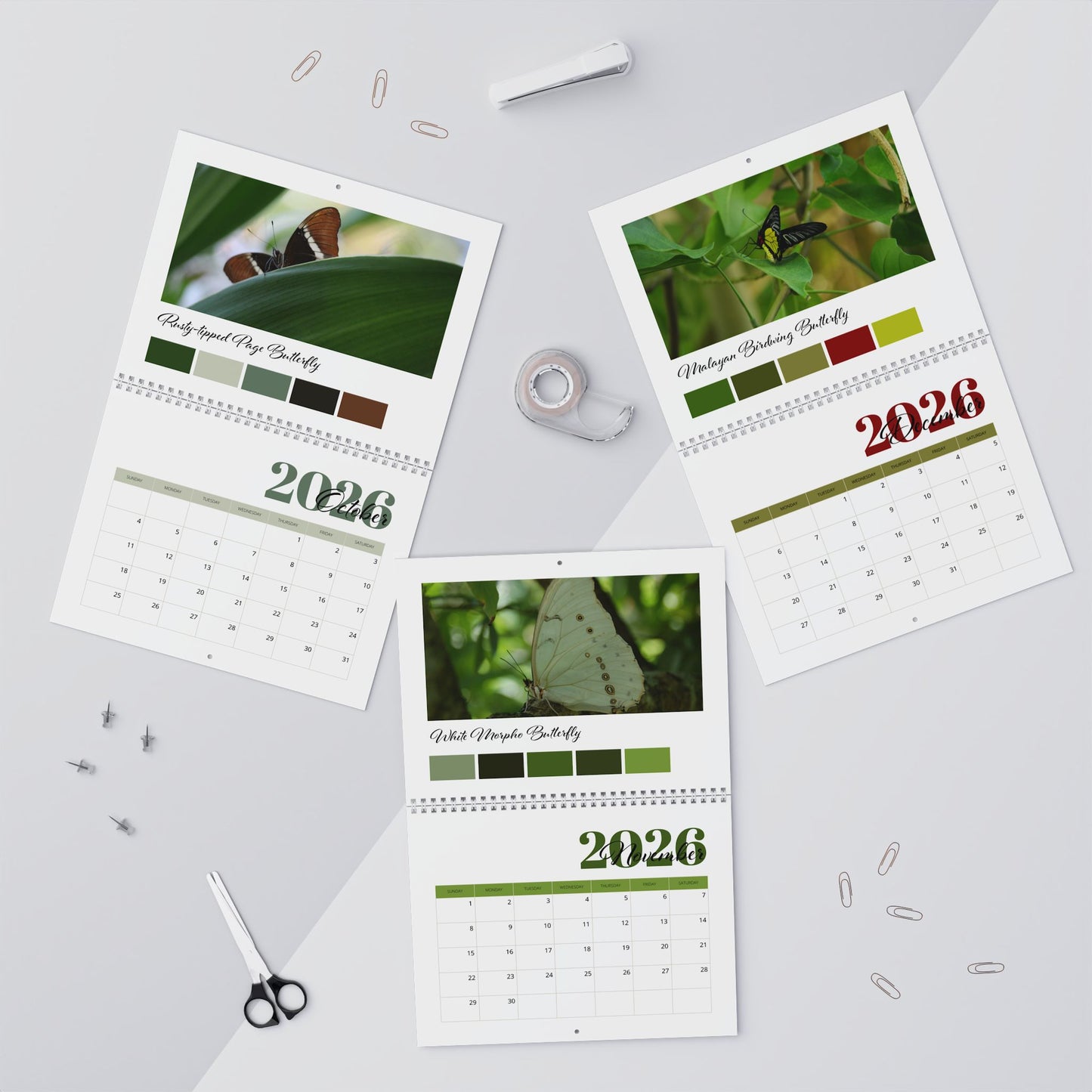 Butterfly Bliss 2026 Wall Calendar