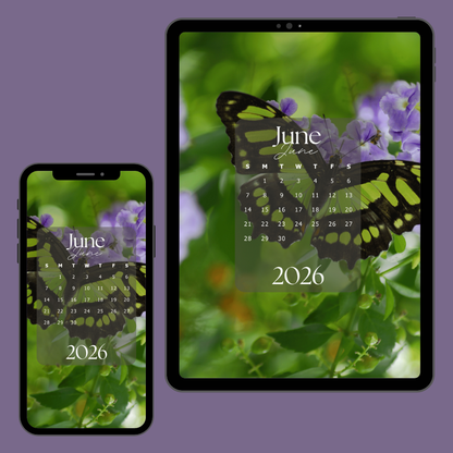 Butterfly Planner | 2-Year Monthly Calendar Cellphone & Tablet Wallpapers — Digital Download