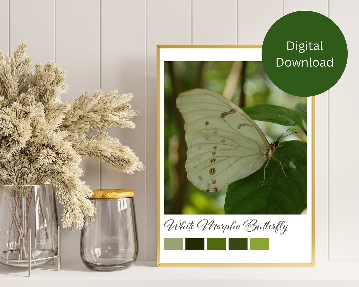 White Morpho Butterfly Printable Wall Art – Digital Download