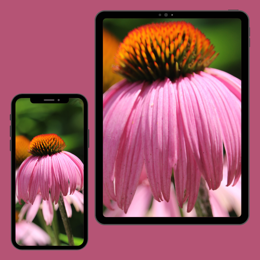 Floral Blossom | Cellphone & Tablet Wallpapers — Digital Download