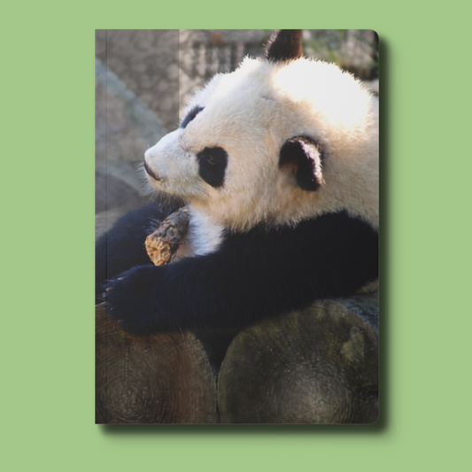 Panda Softcover Journal — Cute Giant Panda Notebook for Notes & Daily Writing