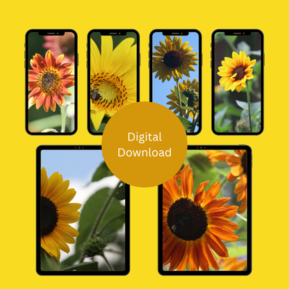Sunflower Power | Cellphone & Tablet Wallpapers — Digital Download